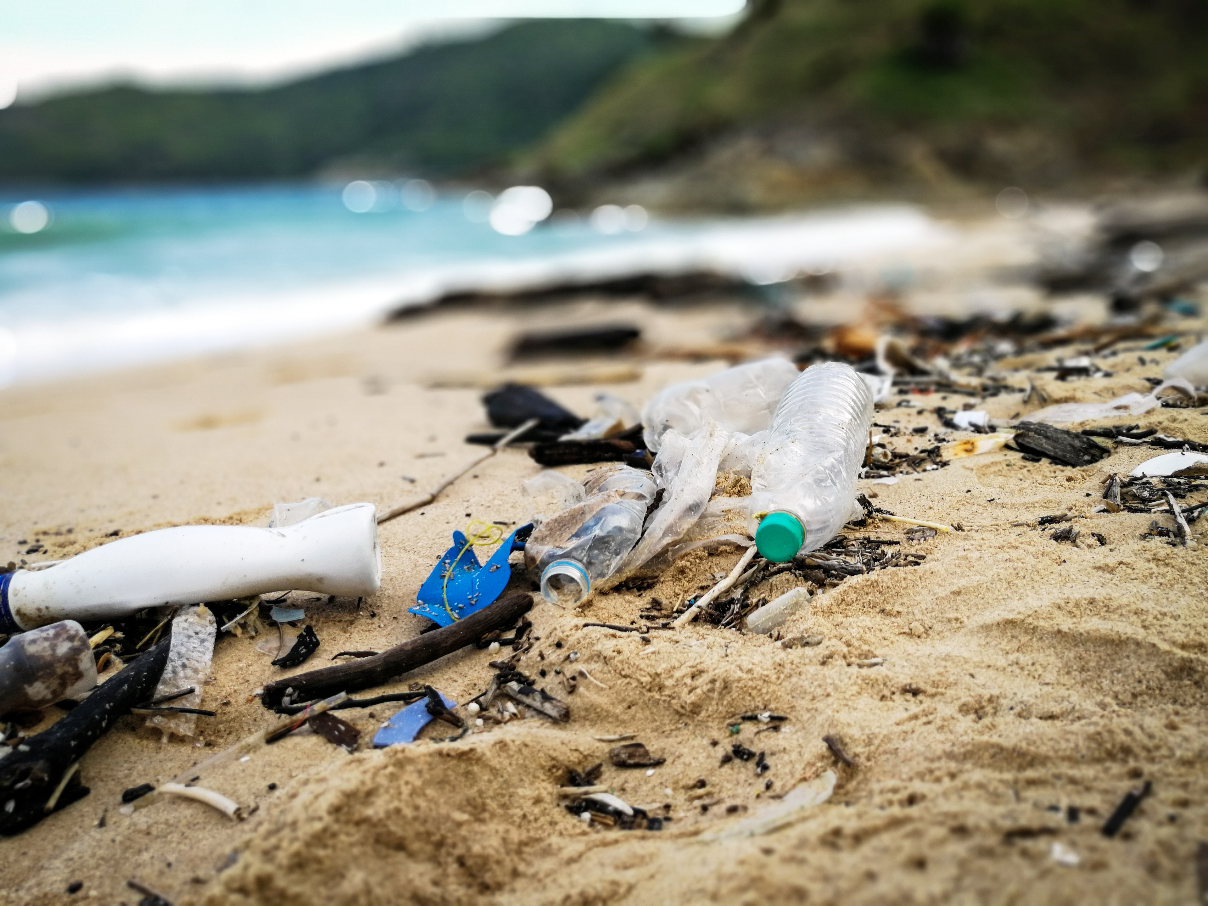 Отходы природы и человека. Пластик в природе. Пластик в окружающей среде. Пластик в океане.