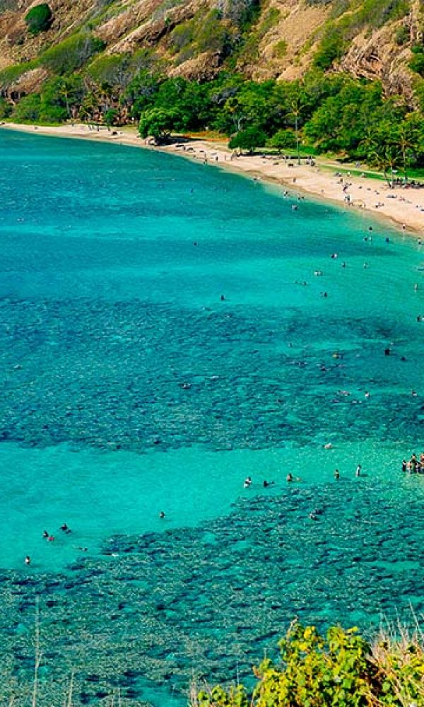 Trash free hawaii oahu Trash free hawaii oahu